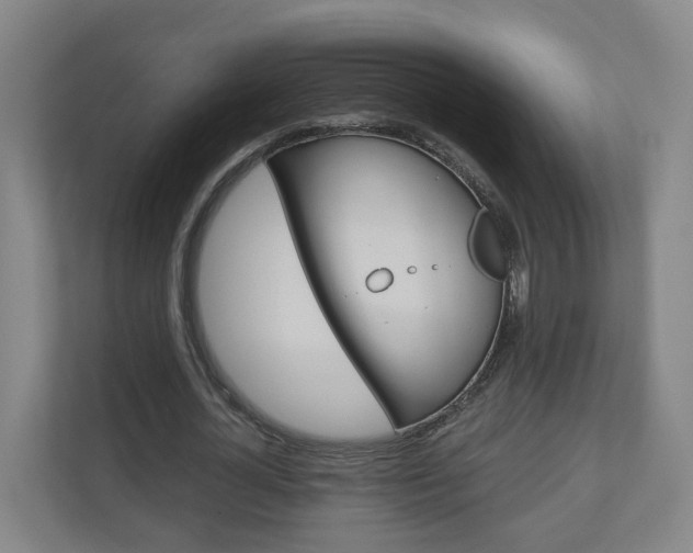 X0000111030724200906251117