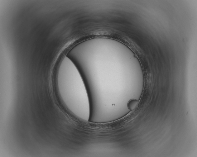 X0000111030727200906251117