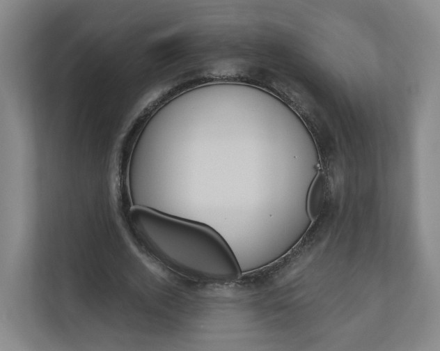X0000111030728200906251117