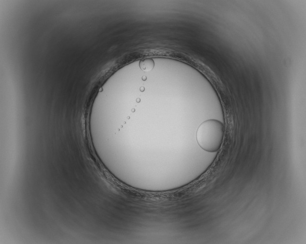 X0000111030729200906251117