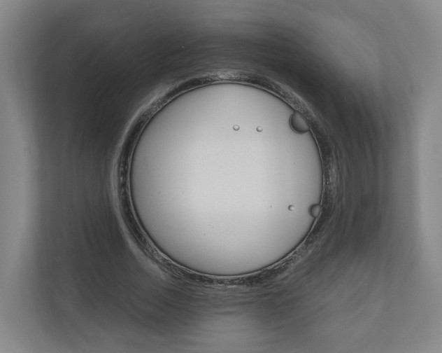 X0000111030730200906251117