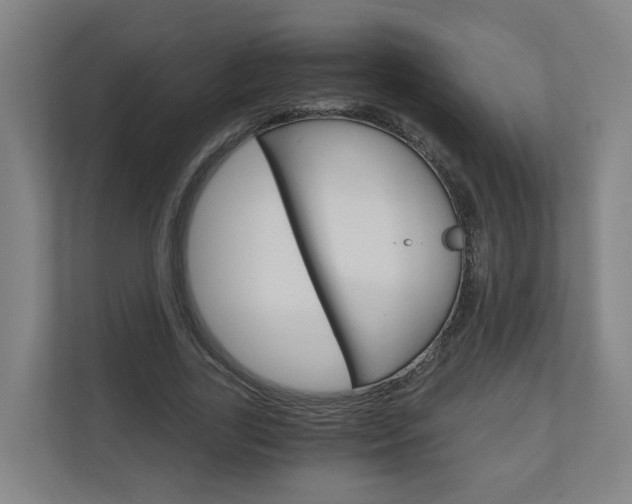 X0000111030731200906251117