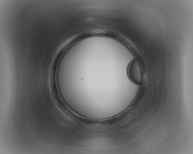 X0000111030732200906251117