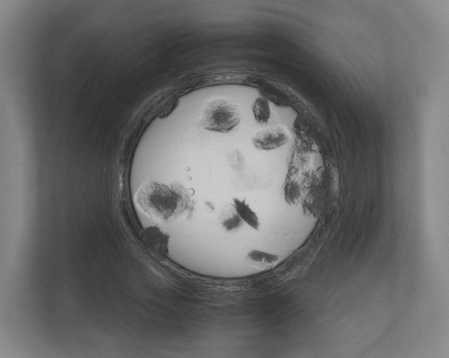 X0000111030733200906251117