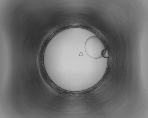 X0000111030734200906251117