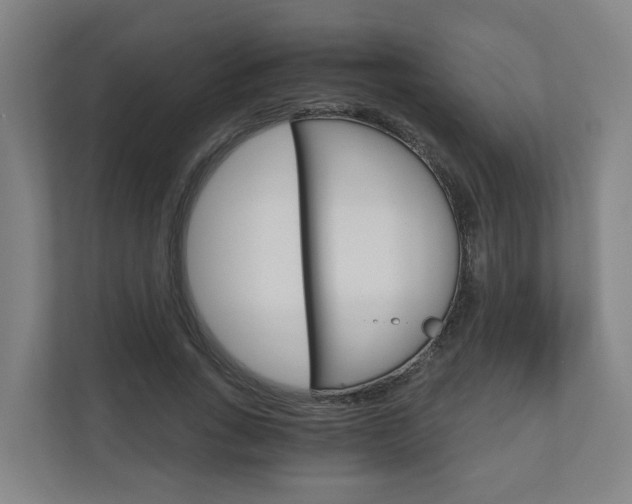 X0000111030735200906251117