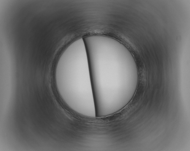 X0000111030738200906251117