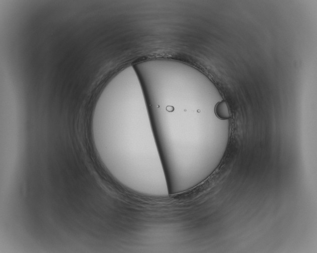 X0000111030742200906251117
