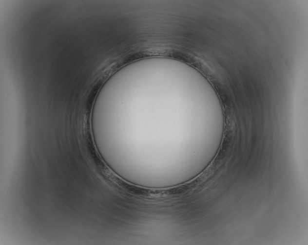 X0000111030744200906251117