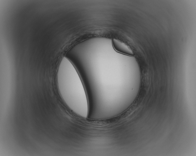 X0000111030750200906251117