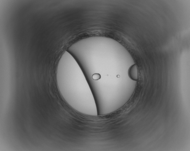 X0000111030751200906251117