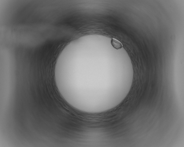 X0000111030752200906251117