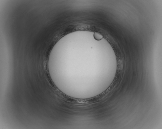 X0000111030753200906251117