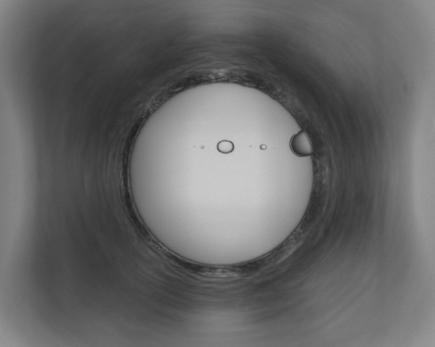 X0000111030754200906251117