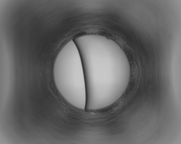 X0000111030755200906251117