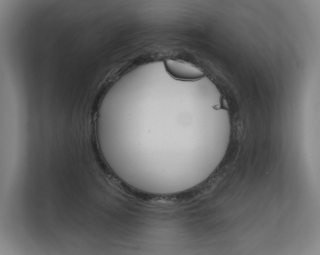 X0000111030756200906251117