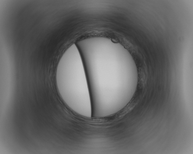 X0000111030758200906251117