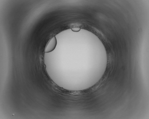 X0000111030761200906251117