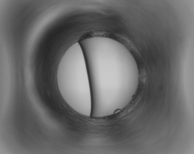 X0000111030763200906251117