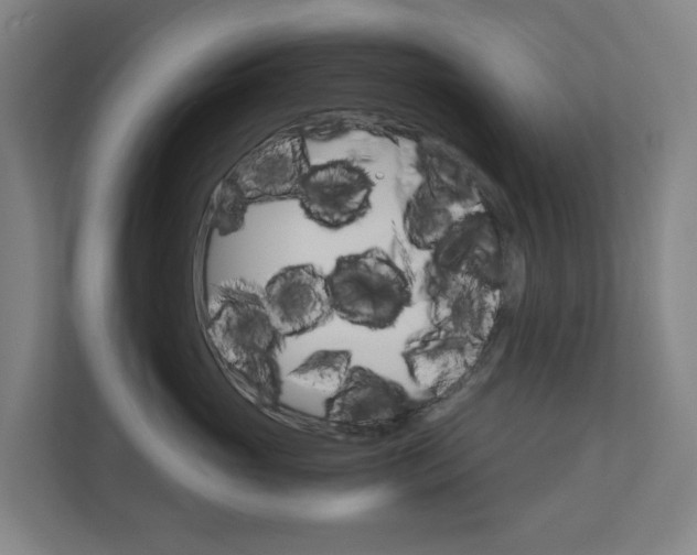 X0000111030765200906251117