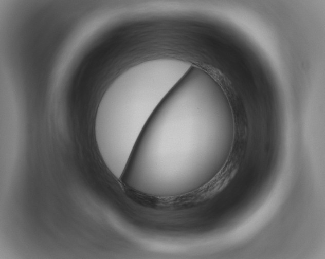 X0000111030766200906251117