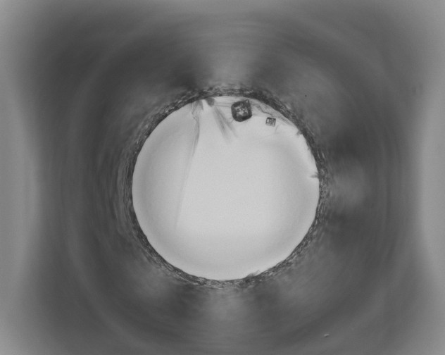X0000111030769200906251117