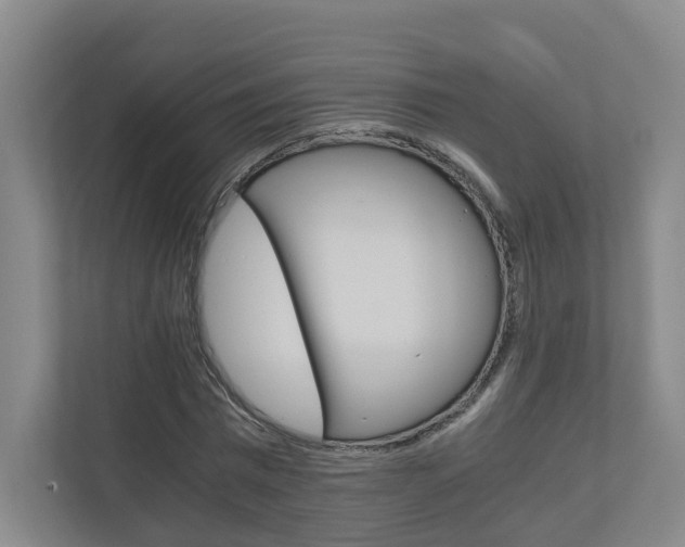 X0000111030777200906251117