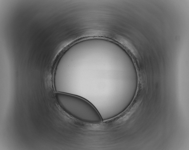 X0000111030781200906251117