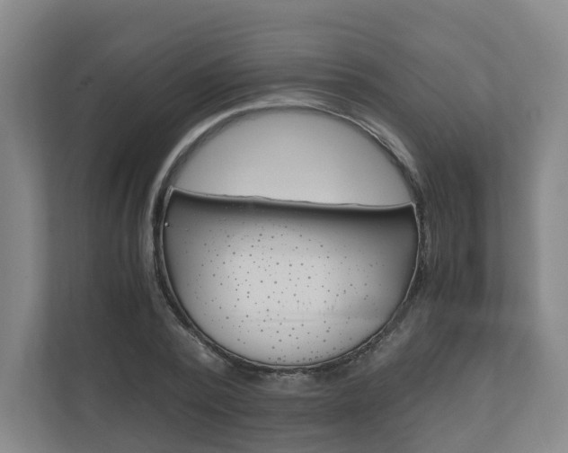 X0000111030784200906251117