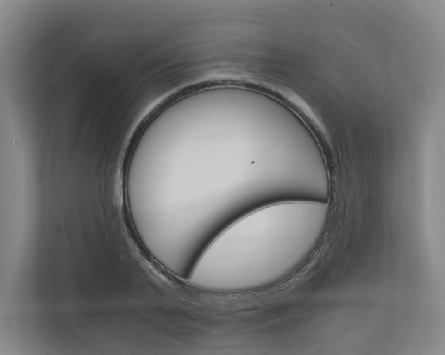 X0000111030791200906251117