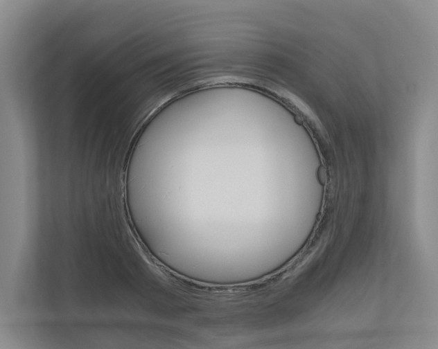 X0000111030793200906251117