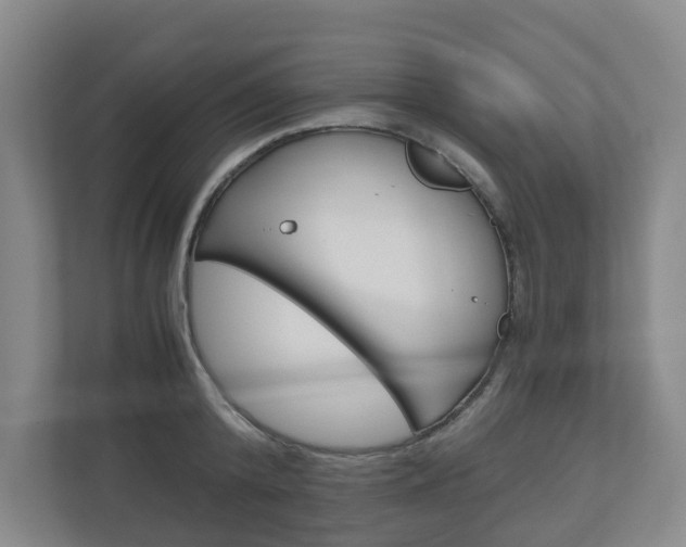 X0000111030800200906251116