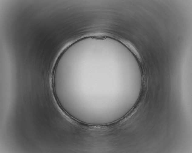 X0000111030805200906251116
