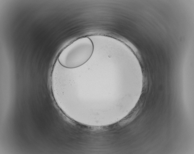 X0000111030807200906251116