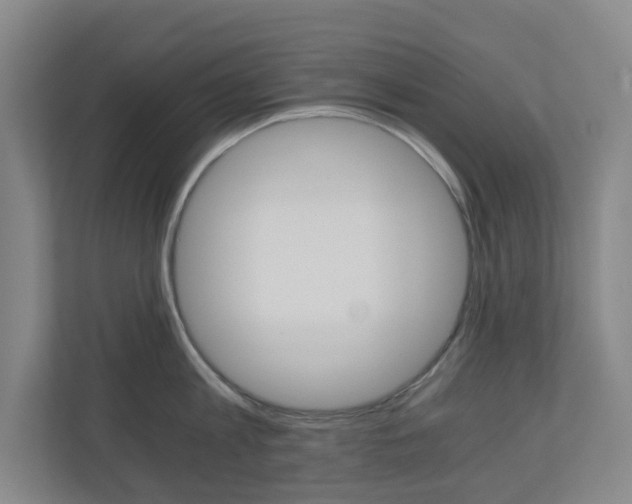 X0000111030813200906251116