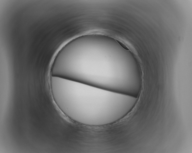 X0000111030816200906251116