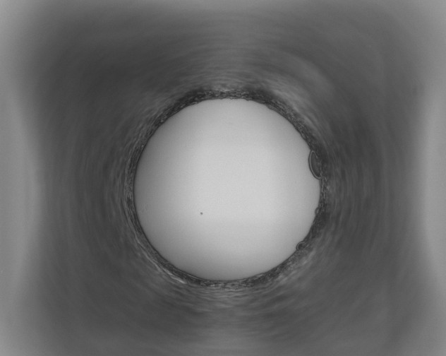 X0000111030817200906251116