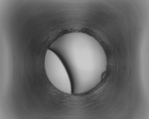 X0000111030818200906251116