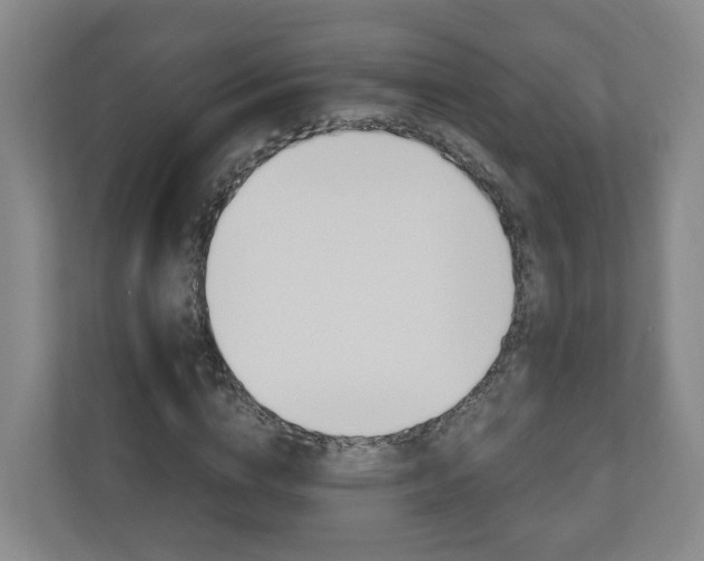 X0000111030824200906251116