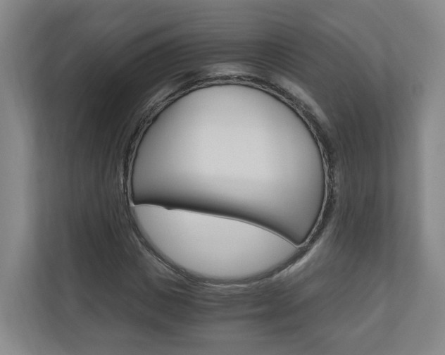 X0000111030825200906251116