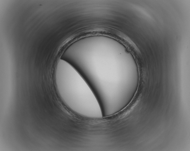 X0000111030826200906251116
