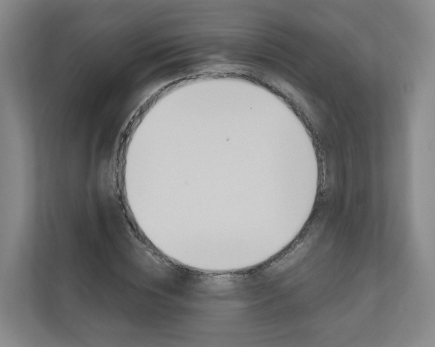 X0000111030828200906251116