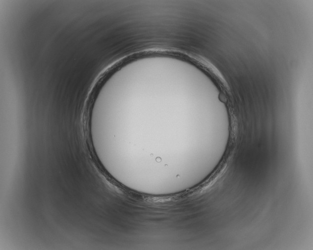 X0000111030831200906251116