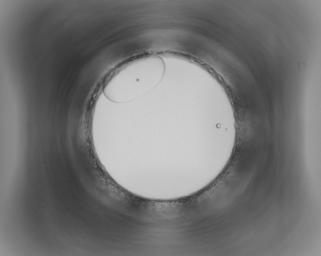 X0000111030832200906251116