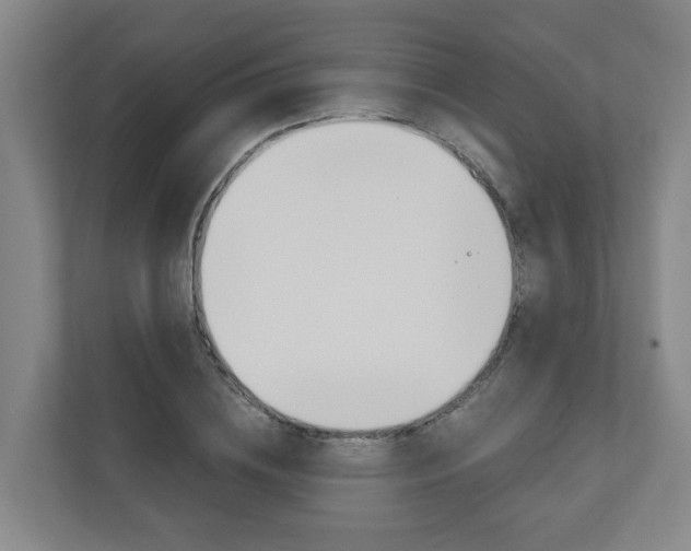 X0000111030836200906251116