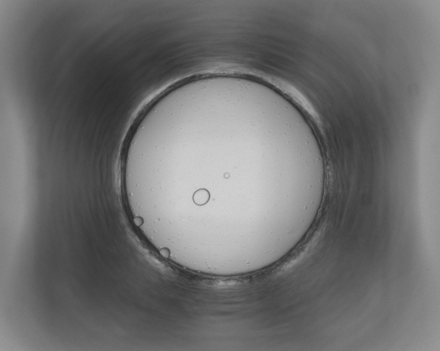 X0000111030839200906251116