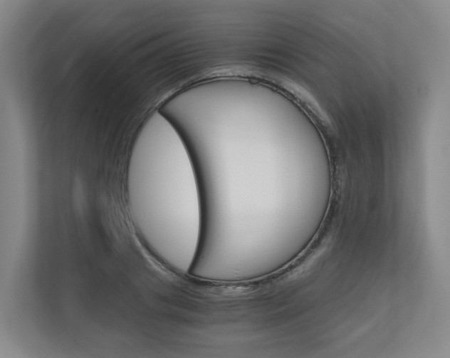 X0000111030841200906251116