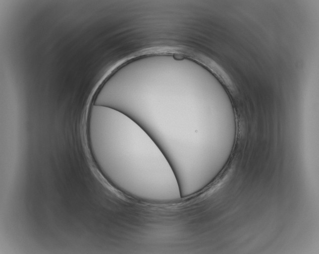 X0000111030844200906251116