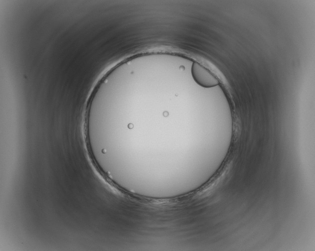 X0000111030847200906251116