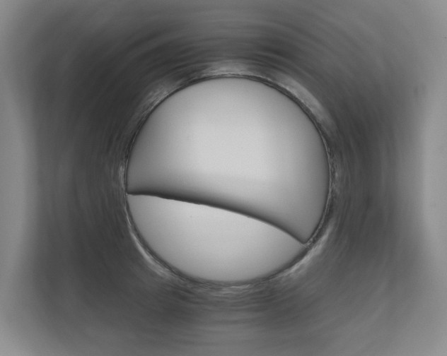 X0000111030849200906251116